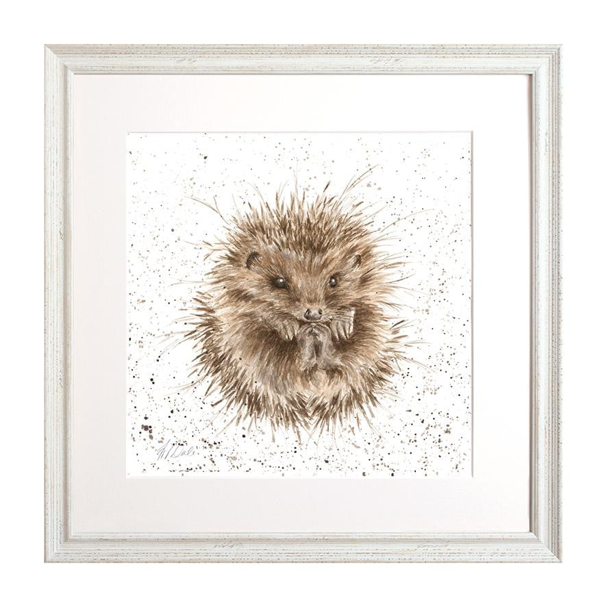 Wrendale Designs 'Awakening' Hedgehog Collectors Edition Framed Print - White Frame (44 x 44cm) - Hothouse