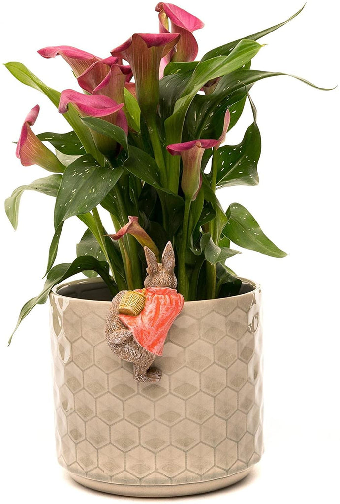 Beatrix Potter - Flopsy Bunny Plant Pot Hanging Ornament - Hothouse