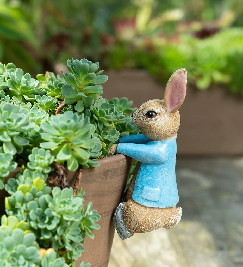 Beatrix Potter - Peter Rabbit Pot Buddy Hanging Ornament