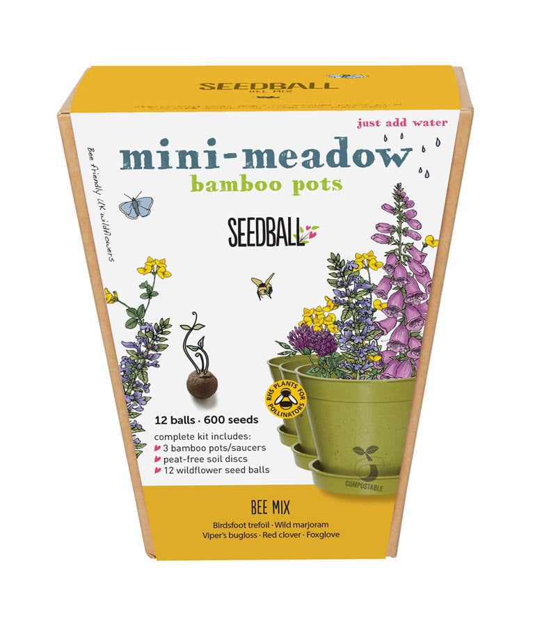 Seedball Mini Meadow Pot - Bee Mix Wildflower Seeds - Hothouse