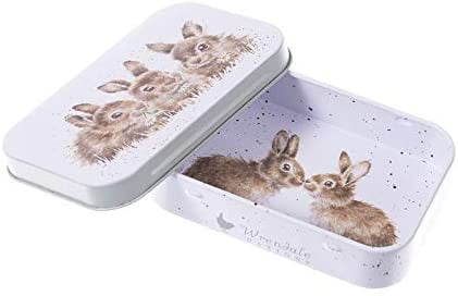 Wrendale Designs 'Daisy Chain' Rabbits Keepsake Mini Gift Tin - Hothouse