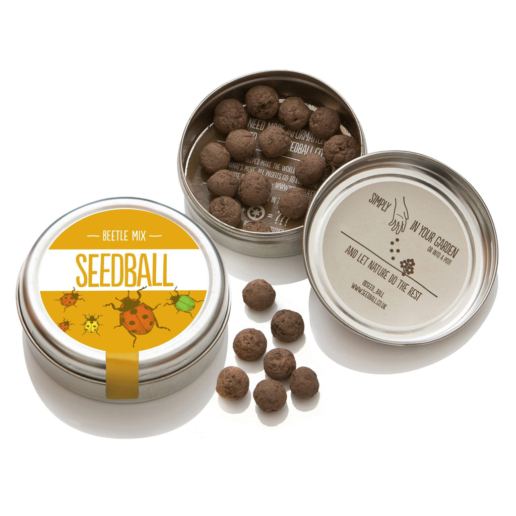 Seedball - Beetle Mix Wildflower Seeds Tin - Hothouse
