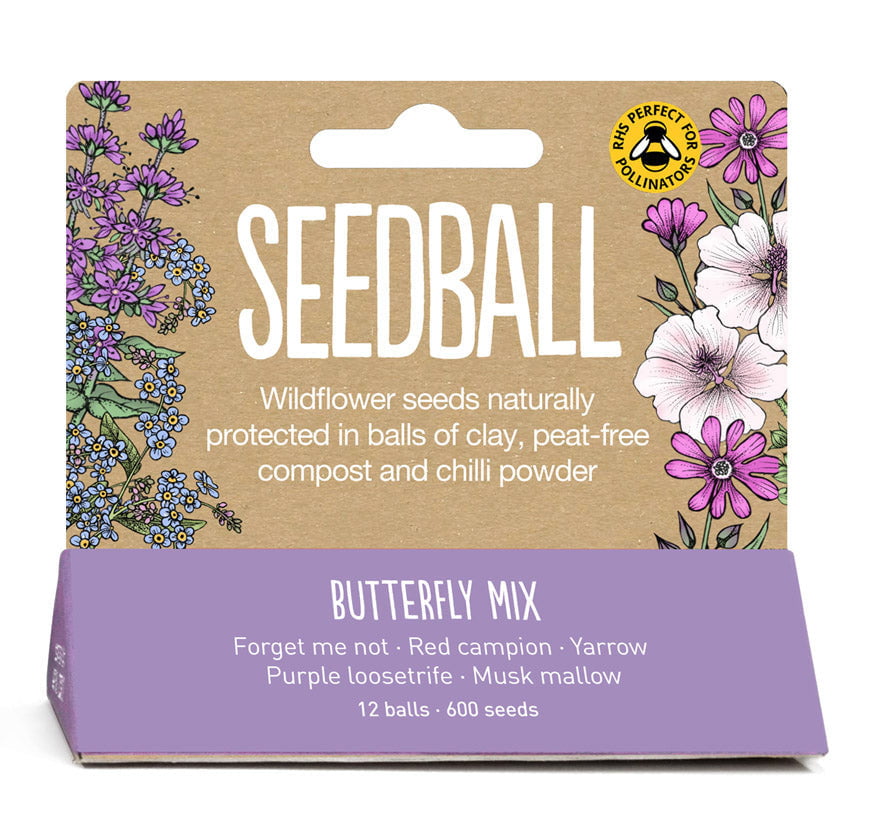 Seedball Mini Meadow Pot - Butterfly Mix Wildflower Seeds - Hothouse