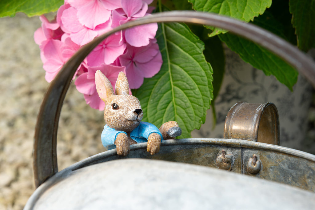 Beatrix Potter - Peter Rabbit Climbing Pot Buddy Hanging Ornament - Hothouse