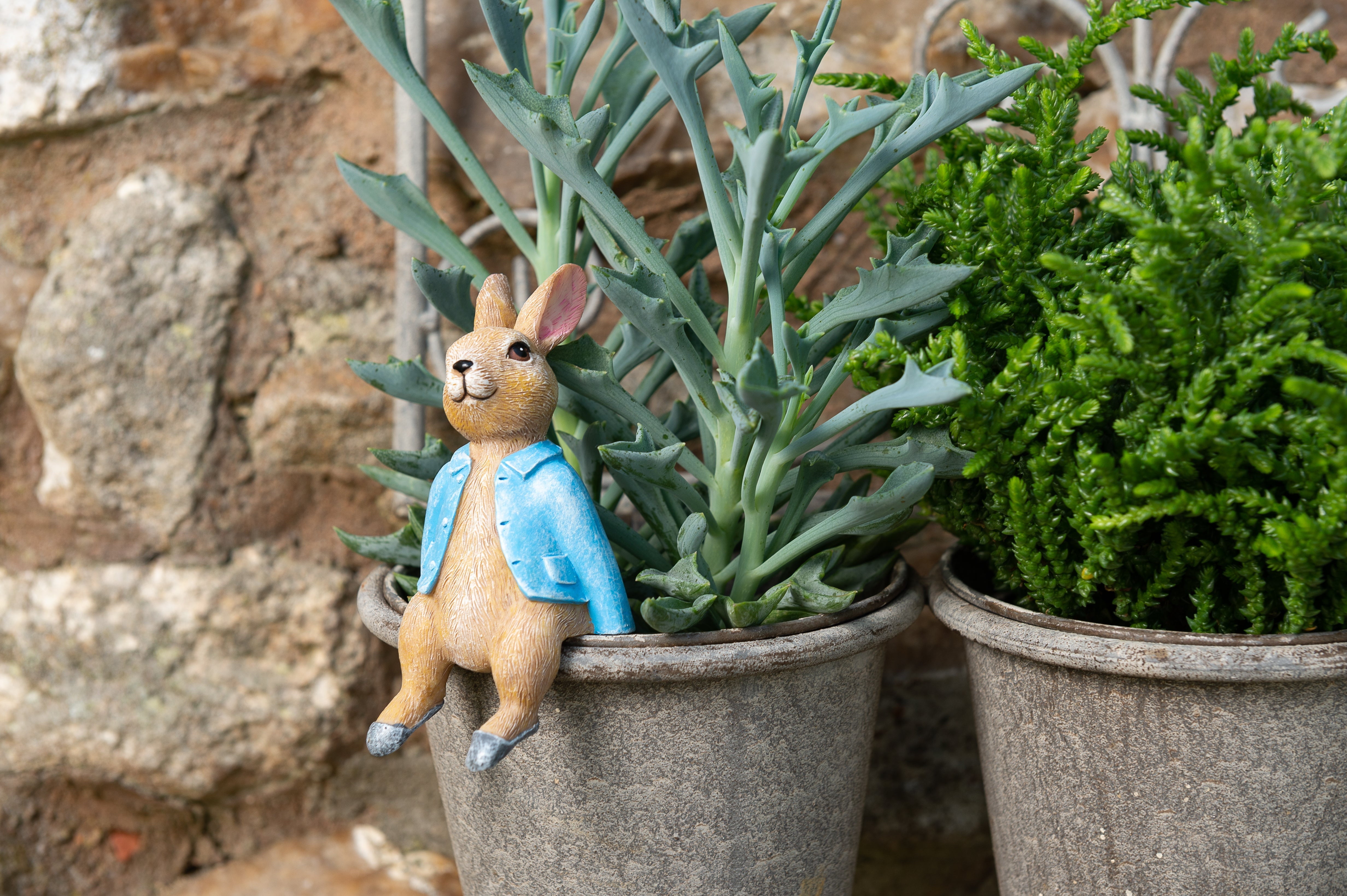 peter rabbit plant pot Beatrix Potter