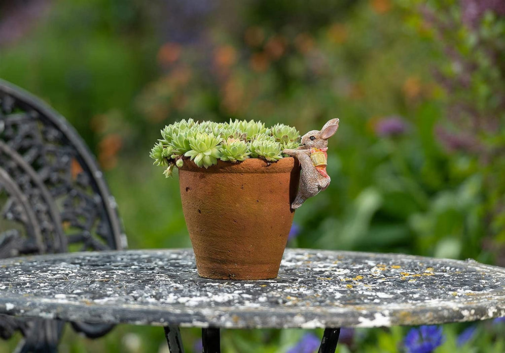 Beatrix Potter - Flopsy Bunny Plant Pot Hanging Ornament - Hothouse