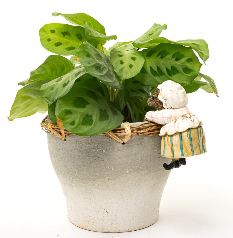 Beatrix Potter - Mrs. Tiggy-Winkle Plant Pot Hanger Ornament - Hothouse