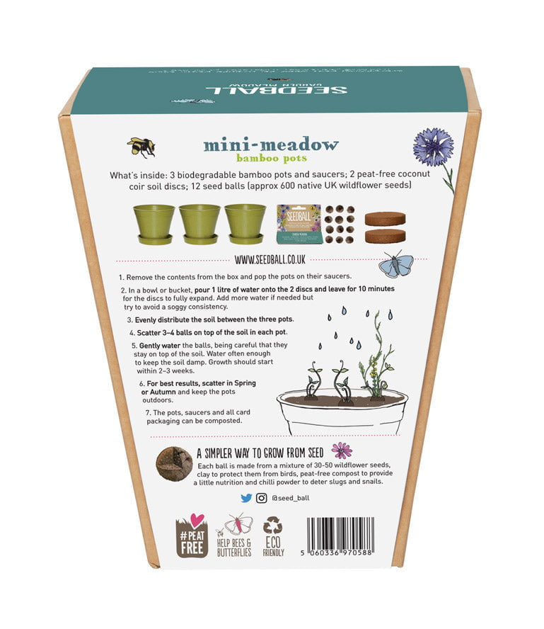 Seedball Mini Meadow Pot - Garden Meadow Wildflower Seeds - Hothouse
