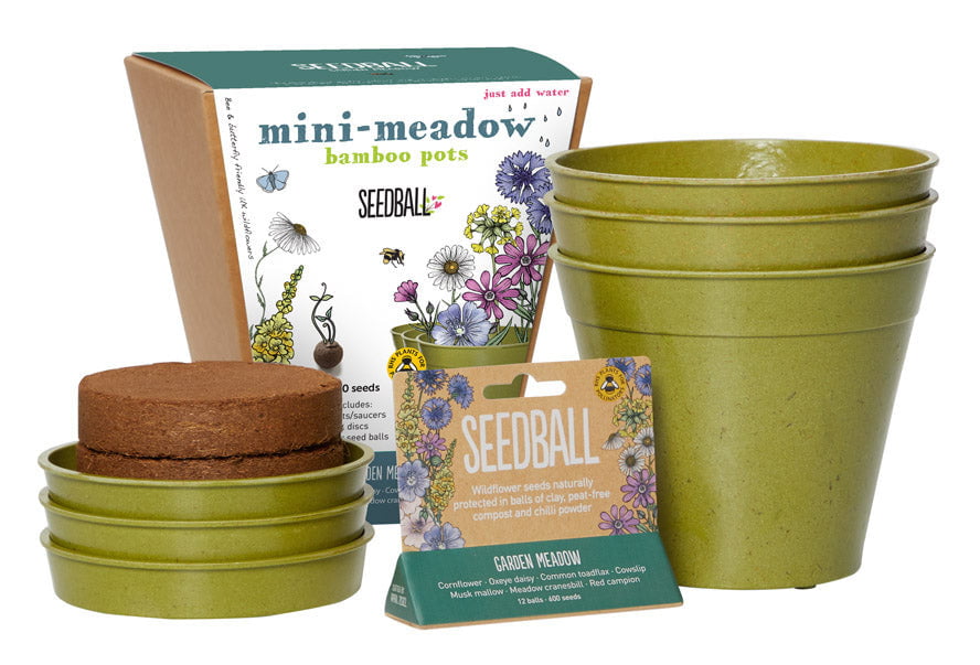 Seedball Mini Meadow Pot - Butterfly Mix Wildflower Seeds - Hothouse