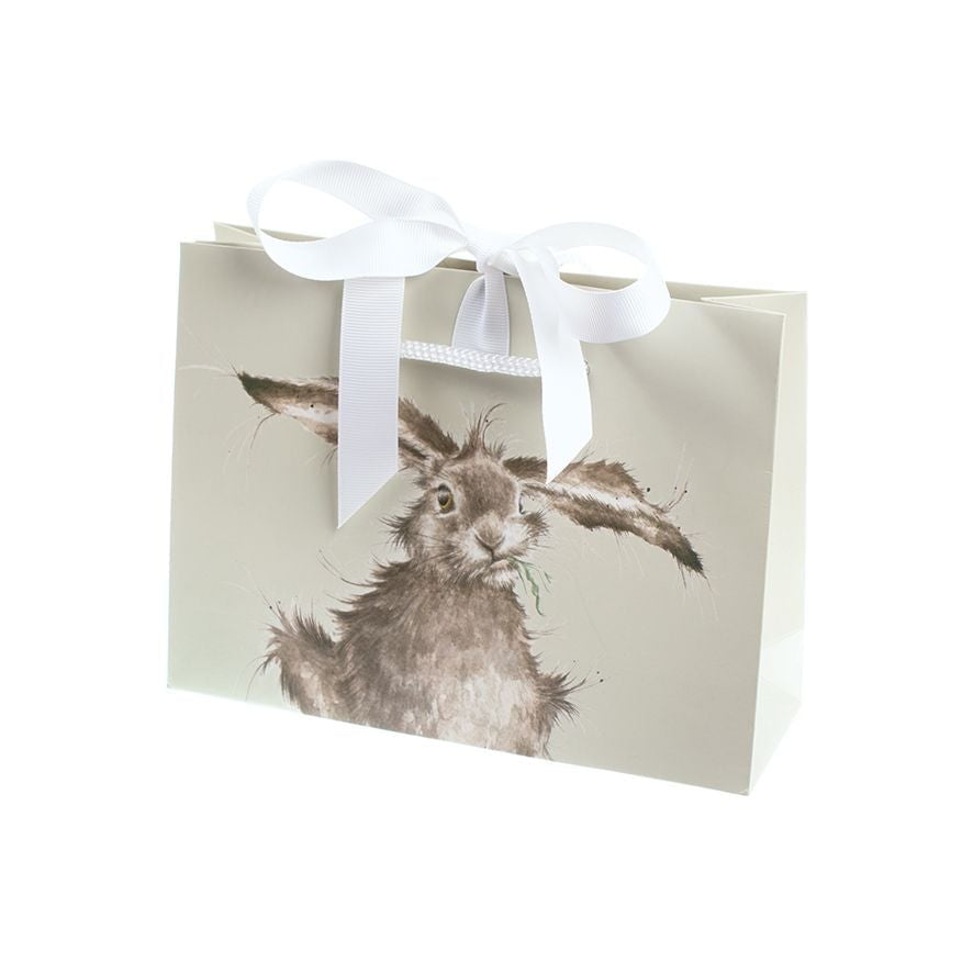 Wrendale 'Awakening' Hedgehog Scarf with Gift Bag - Hothouse