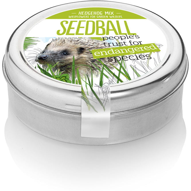 Seedball - Hedgehog Mix Wildflower Seeds Tin - Hothouse