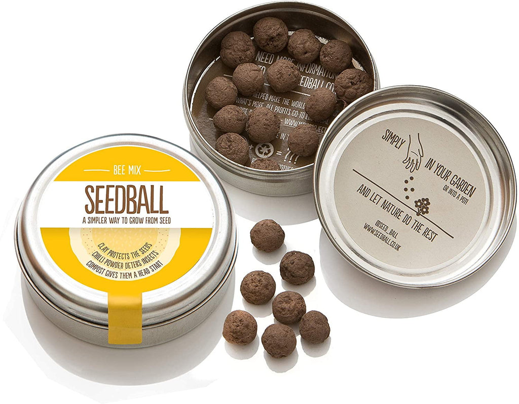 Seedball - Bee Mix Wildflower Seeds Tin - Hothouse