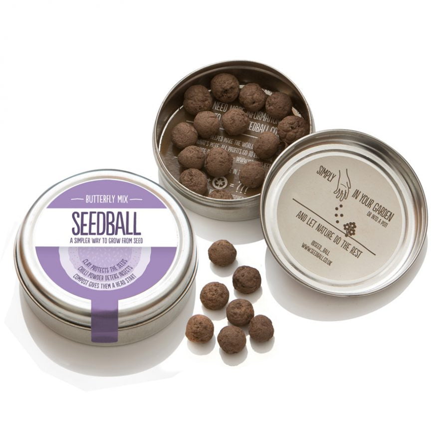 Seedball - Butterfly Mix Wildflower Seeds Tin - Hothouse