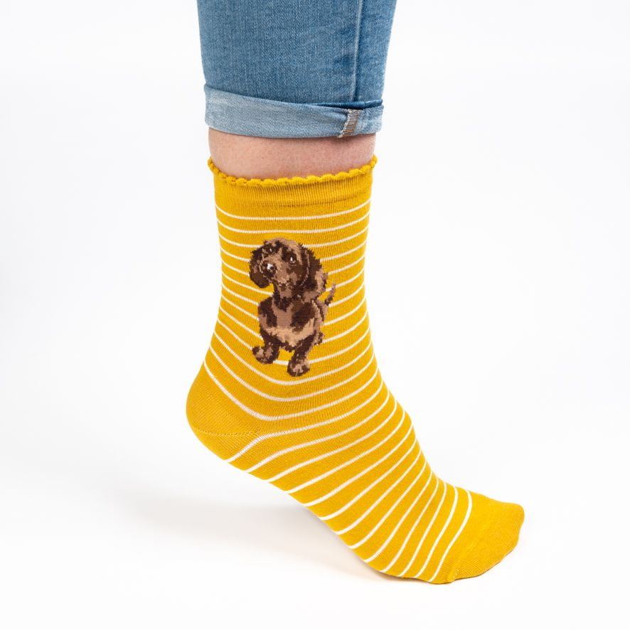 Wrendale Designs 'Little One' Sausage Dog Dachshund Bamboo Socks - Hothouse